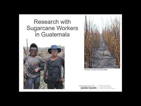 WHWB Jaime Butler-Dawson's presentation SUGAR CANE WORKERS