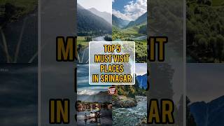 TOP 5 Must Visit Places In Srinagar | Amazing World Facts