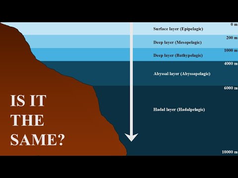 Deep Ocean Chemistry: What Happens to the water?