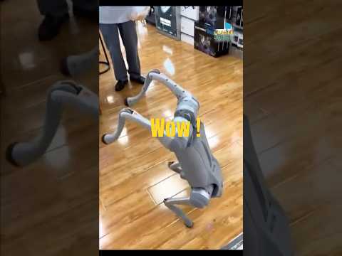 Robot Dog from China That Walks Like a Human! #RobotDog #UnitreeRobot #TechInnovation #shorts