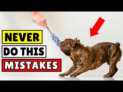 Worst Mistakes I Made Raising My First Puppy