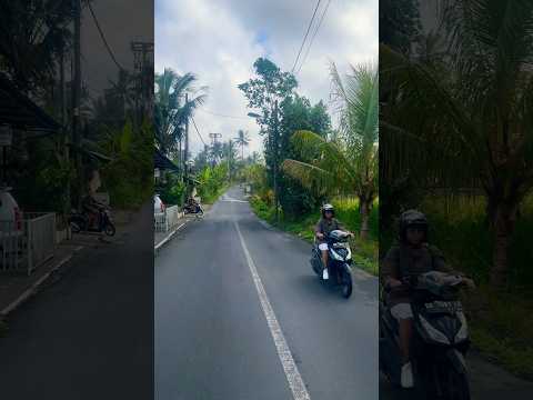 Beautiful UBUD Streets Ride in Bali #ubudexploring #ubudlife #ubudbali #travel #nature #scenicdrive