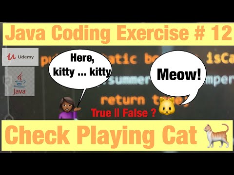 The Most Useless Java Program Ever Created