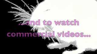 (RE-UPLOADED) ... New Youtube Direction, My New Direction (GRIZZLYTEN) - re-uploaded by ooshanapa