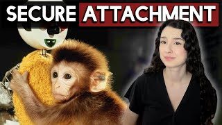 10 SIMPLE steps to secure attachment