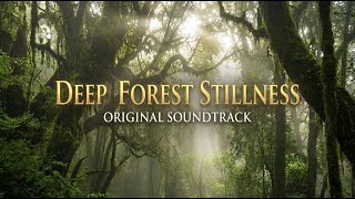 Ethereal Pads | Sleep Finale Drone