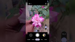 New lmc 8.4 camera photography video #bdsifat #lmc8.4 #photography #camera