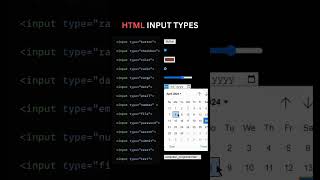 All HTML Input Types ️🎯
