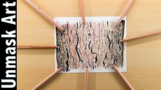 Tree Bark Texture | Colored Pencil Drawing Time Lapse
