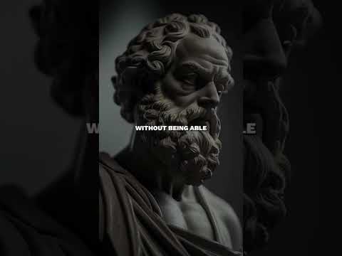 Stand up and fight for your dream!" #motivation #insiration #success