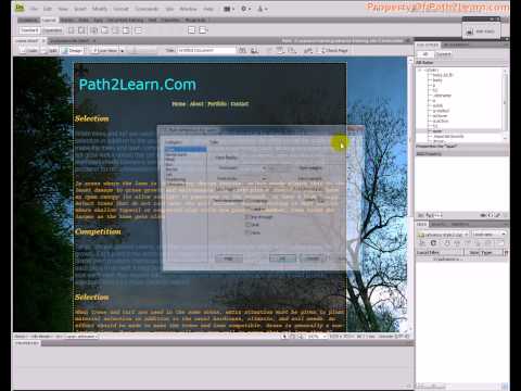 dreamweaver advance web designing style 1c advance style 2c css