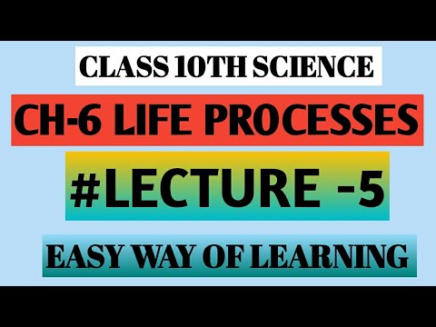 CLASS 10TH SCIENCE CH -6 LIFE PROCESSES