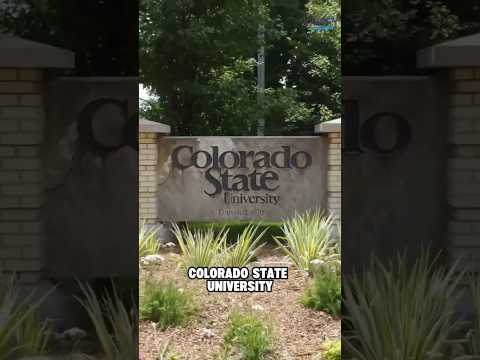 Colorado State University tutoring by Prestoexperts #shortsvideo