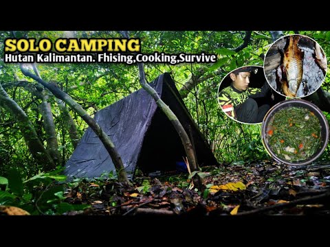 SOLO Camping Fishing Di dalam Hutan Kalimantan Sendirian , Panen sayur pakis dan ikan