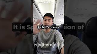 #SpiritAirlines #FlightFail #PassengerFix #TravelHumor #DIYDisaster #ViralShorts #AviationMemes