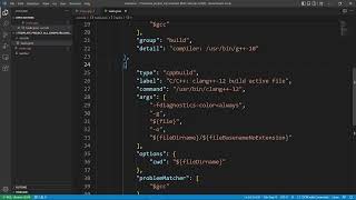 Template Project for all compilers Linux - C++ Env Linux Setup 07