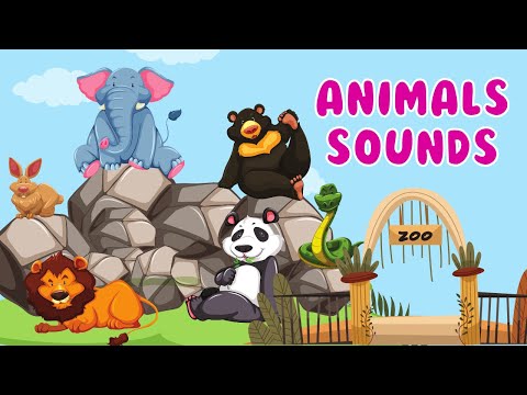 Animals Sounds | Animal Zoo | Animal sounds around us | Learning for Kids & Toddlers | Animal videos