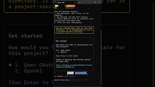 NEW Roo Code provider - Qwen Code CLI