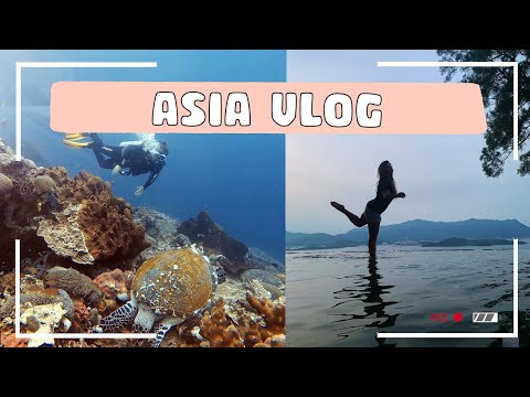 ASIA VLOG // Hong Kong, Vietnam and Bali