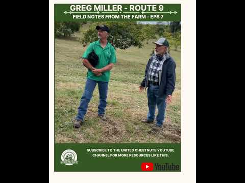 Field Notes From The Farm: Greg Miller – Route 9 – Eps 7 #chestnuts #unitedchestnuts #route9