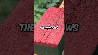 The Software Developer Joke 😅