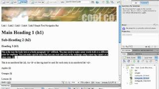 11.Creating.a.CSS.Style.Guide( Marking up text using the Property Inspector).mov