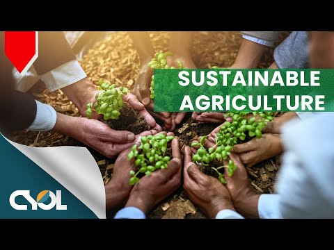 Sustainability at CYOL: Building a Greener Future  | CYOL