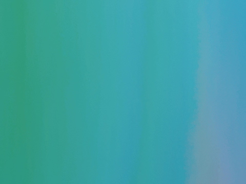 LEISURE Live Stream