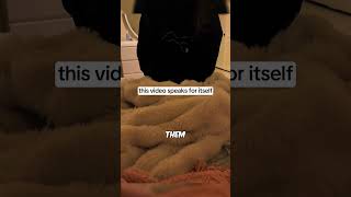 Cheater Exposed LIVE (Link to App in bio!) 😳💔 #loyaltytest #relationshipadvice