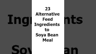 Alternative to Soya Bean Meal #feedingredient #alternative #Soyameal #soybean #meal #feedformulation