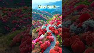 beautiful place don,t feel real#travel #worldexplorer #nature #ytshorts #explortheworld