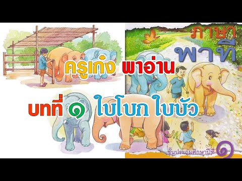 วิชาภาษาไทย ภาษาพาที บทที่ 1ใบโบก ใบบัว  ชั้นประถมศึกษาปีที่ 1