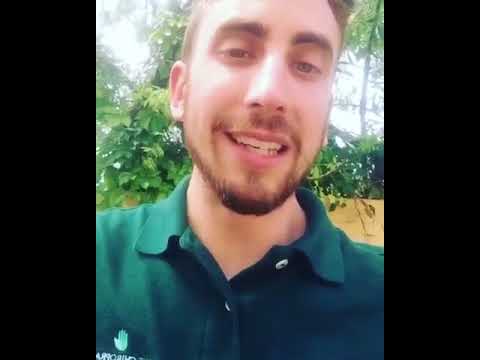 NORTH MIAMI BEACH CHIROPRACTORS Mint Mobile Chiropractic DR BINYAMIN RUBENSTEIN