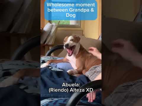 Wholesome moment between Grandpa & Dog #shorts #trending #viralvideo