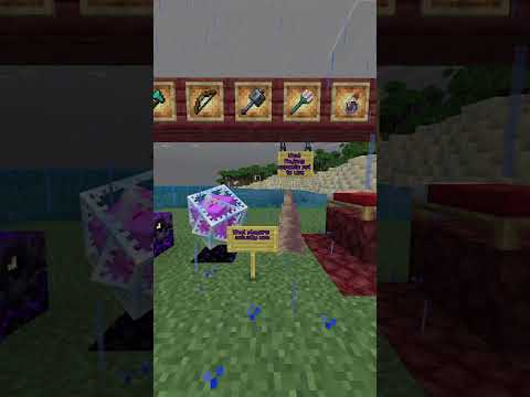 Meme of the Picosecond #minecraft #gaming #memes
