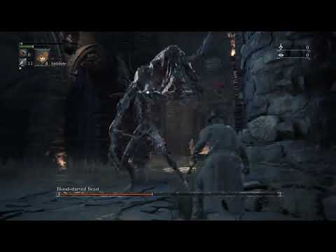 1HP And A Dream