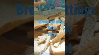 Dont buy breadcrumbs 😊😊😊 #ytshort #bread #diy