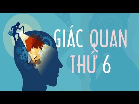 Giải mã giác quan thứ 6 của con người, bạn có đang sở hữu chúng? | GIẢI MÃ