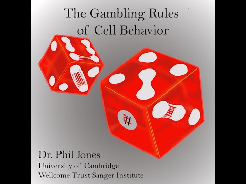 36.The Gambling Rules of Cell Behavior with Dr Philip Jones