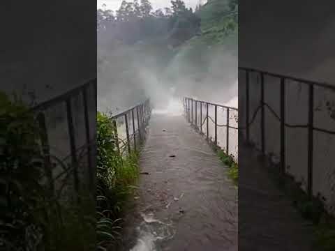 Heavy rain in munnar kerala 🌧️#rain #kerala