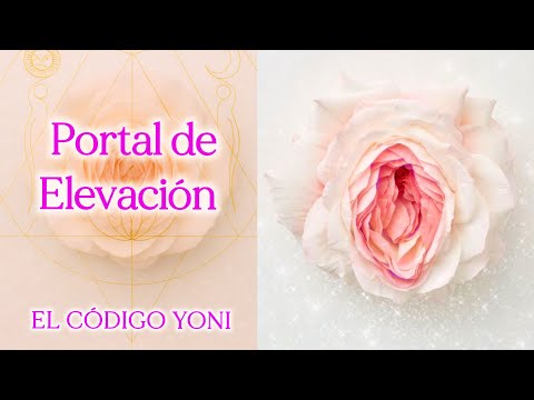 EL YONI: Portal de Elevación Espiritual