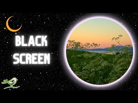 [NO ADS] Time | Black Screen & Deep Sleep Music by Peder B. Helland