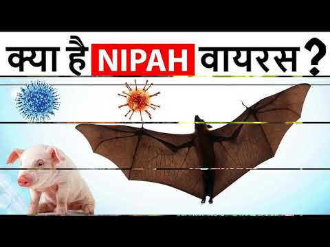 Nipah Virus Documentary In Hindi