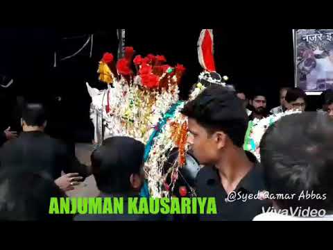 7 Muharram Juloos Zuljanah in Balwaghat at Jaunpur 2018 19