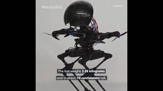 V103- AI for Robotics