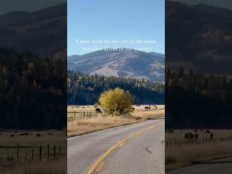 Jackson Hole ASMR 🧡