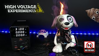 Craziest High-Voltage Experiment ⚠️DANGEROUS⚠️I Applied HIGH VOLTAGE to Electric Toys!