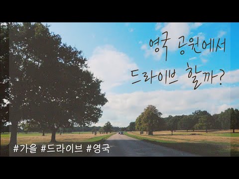 [Film] 영국 공원에서 드라이브 할까?
