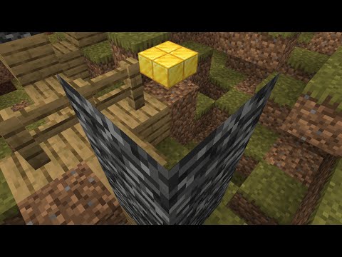 Using bugs in Immersive Portal Mod