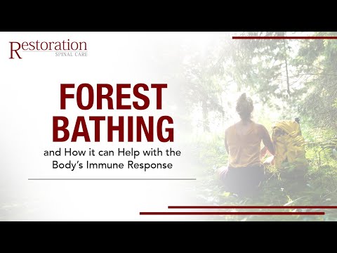 Forest Bathing and How it can Help with the Body’s Immune Response in Renton, WA.